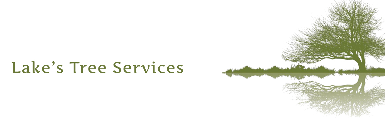 Lakes-Treee-Services-Web-Header